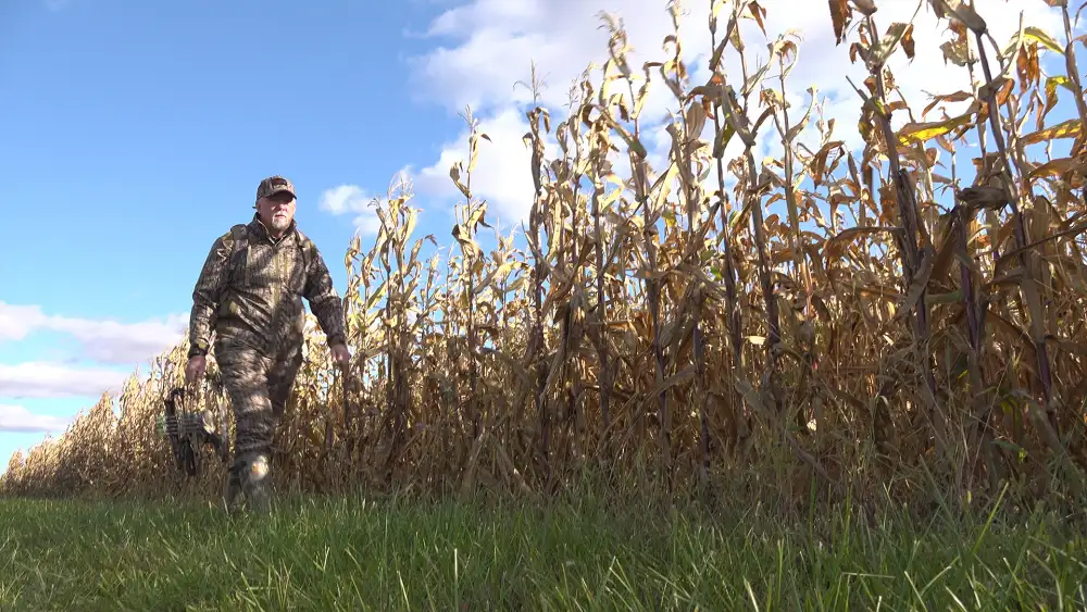 Best Illinois whitetail deer hunting tactics