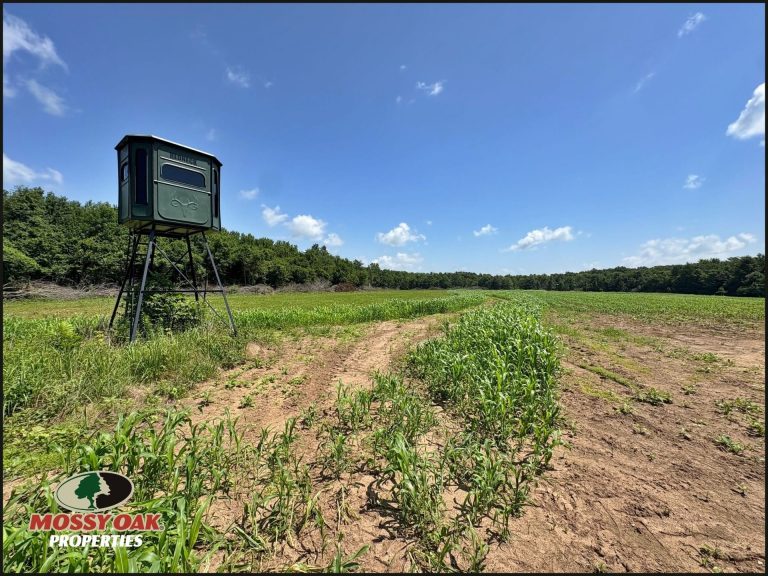 173 acre hunting farm for sale in Crawford County, Illinois