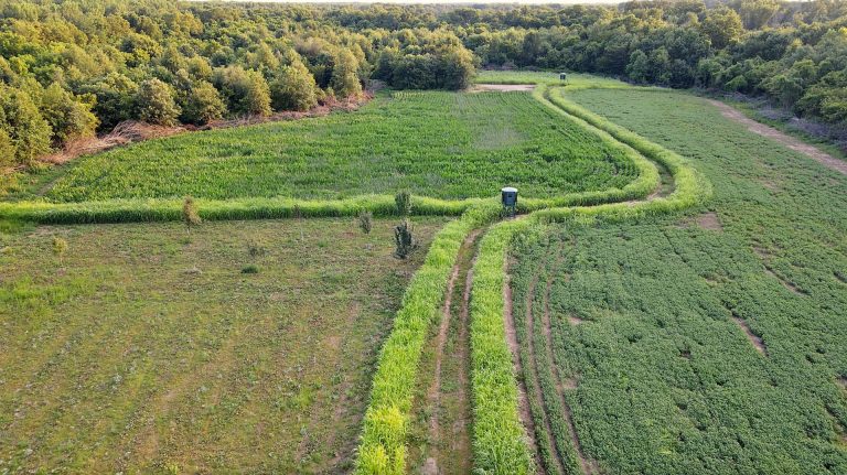 173 acre hunting farm for sale in Crawford County, Illinois