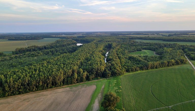 173 acre hunting farm for sale in Crawford County, Illinois