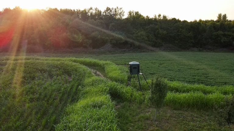 173 acre hunting farm for sale in Crawford County, Illinois
