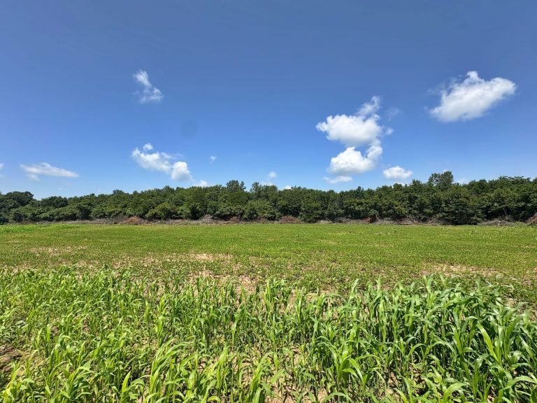 173 acre hunting farm for sale in Crawford County, Illinois