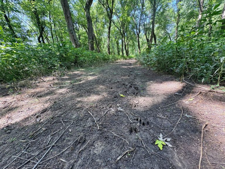 173 acre hunting farm for sale in Crawford County, Illinois