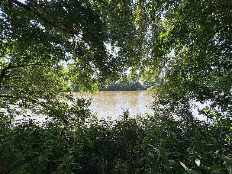 173 acre hunting farm for sale in Crawford County, Illinois