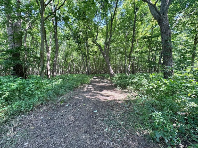 173 acre hunting farm for sale in Crawford County, Illinois