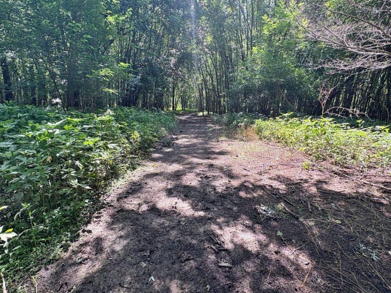 173 acre hunting farm for sale in Crawford County, Illinois