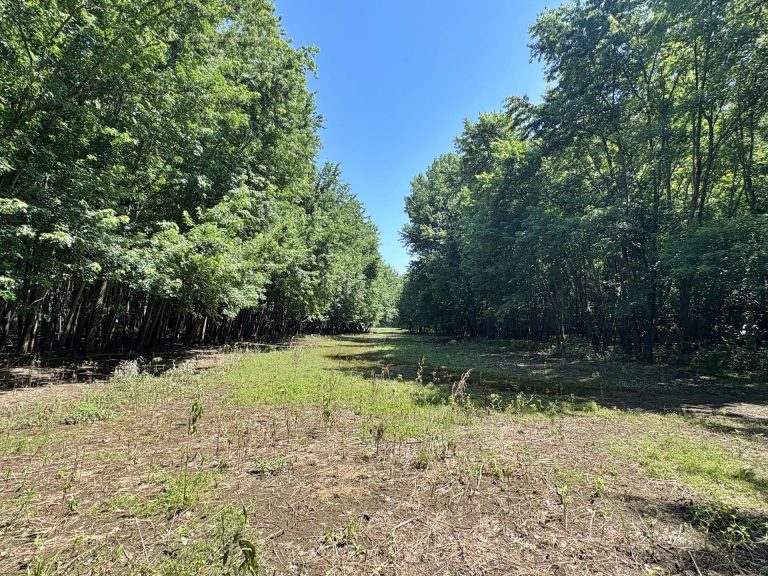 173 acre hunting farm for sale in Crawford County, Illinois