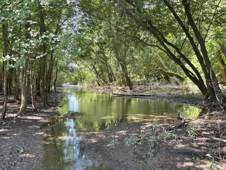 173 acre hunting farm for sale in Crawford County, Illinois