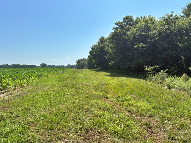 173 acre hunting farm for sale in Crawford County, Illinois