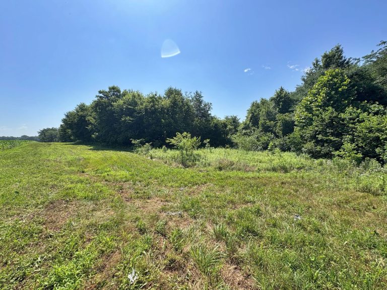 173 acre hunting farm for sale in Crawford County, Illinois