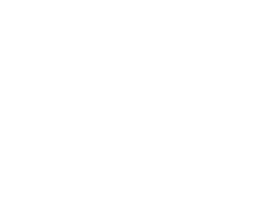 ASM Labs